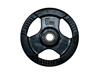 Kotouč litinový pogumovaný 30 mm - 5 kg