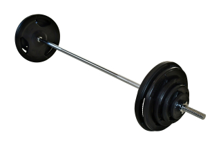 Nakládací činka s pogumovanými kotouči - 77 kg